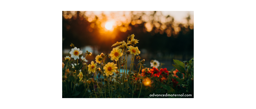 What to Say (and Not Say) to Someone Who Has Had a Miscarriage