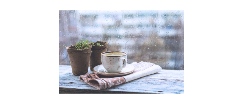 Six Words That Helped When My Friend Had a Miscarriage